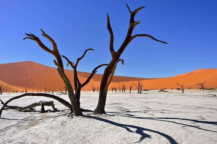 Namibia Wüste