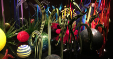 seattle chihuly-1