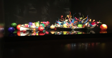 seattle chihuly-2