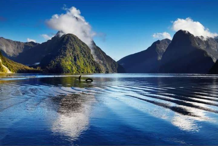 Milford Sound