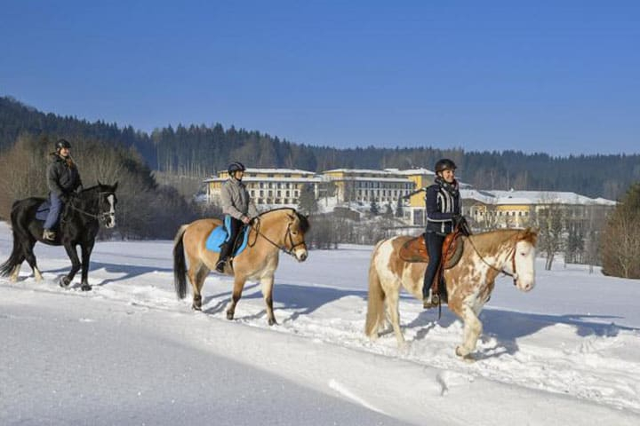 Ampflwang Urlaub