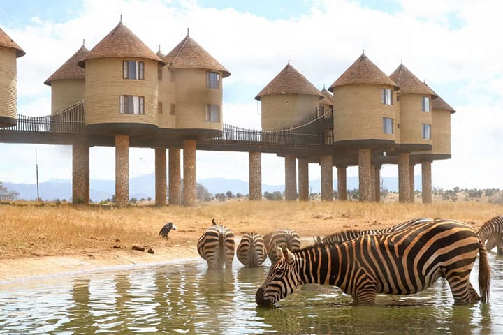 Kenia Safari