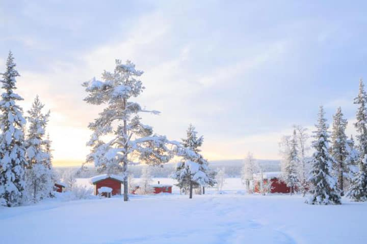 Lappland Reise Schneelandschaft