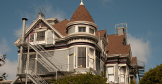 paintedladies-1