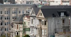 paintedladies-3