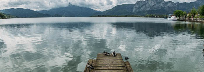 Hotel Living Max Zell am See
