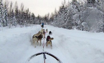 Lappland Reisebericht